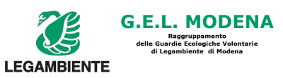 G.E.L. Modena